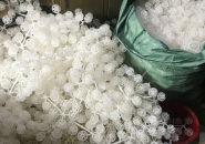 CÔNG TY TNHH SẢN XUẤT THƯƠNG MẠI TRÚC THƯ