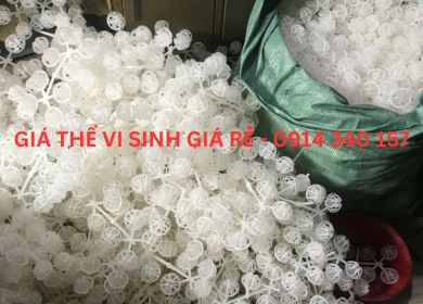HÌNH ẢNH HOẠT ĐỘNG TẠI XƯỞNG 2